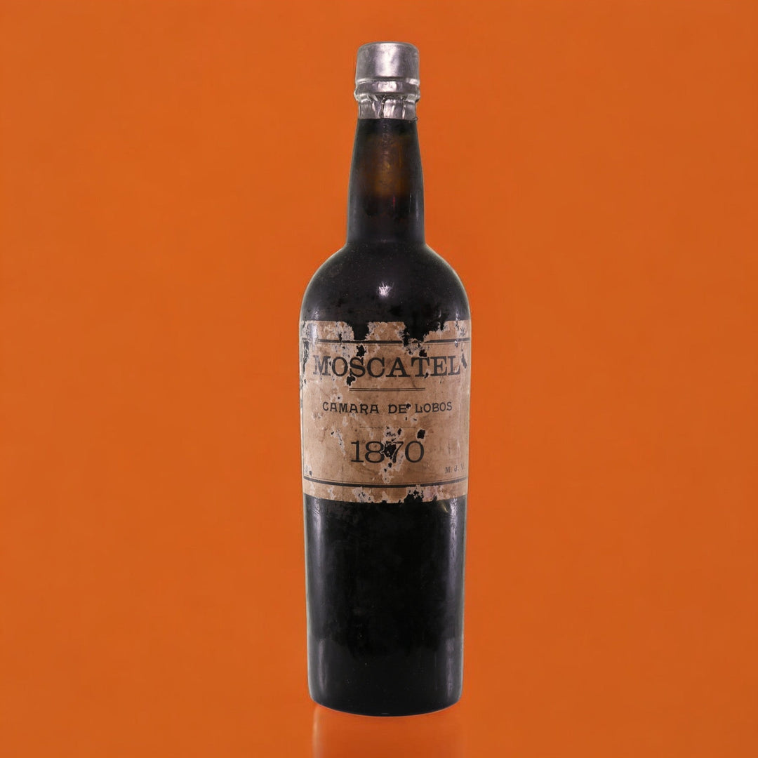 Madeira Vieira, Dr. Manuel José Moscatel 1870 - Rue Pinard