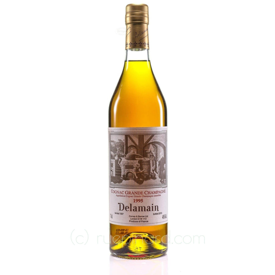 Cognac 1995 Delamain SKU 8596