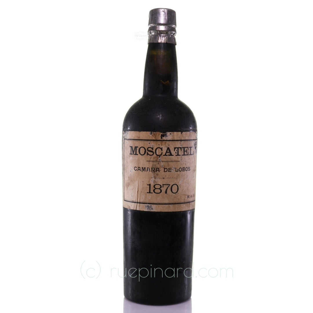 Madeira Vieira, Dr. Manuel José Moscatel 1870 - Rue Pinard