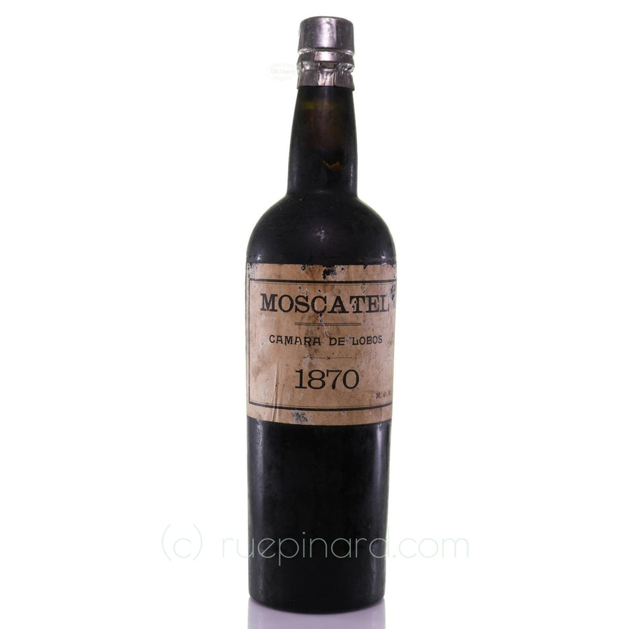 Madeira Vieira, Dr. Manuel José Moscatel 1870 - Rue Pinard