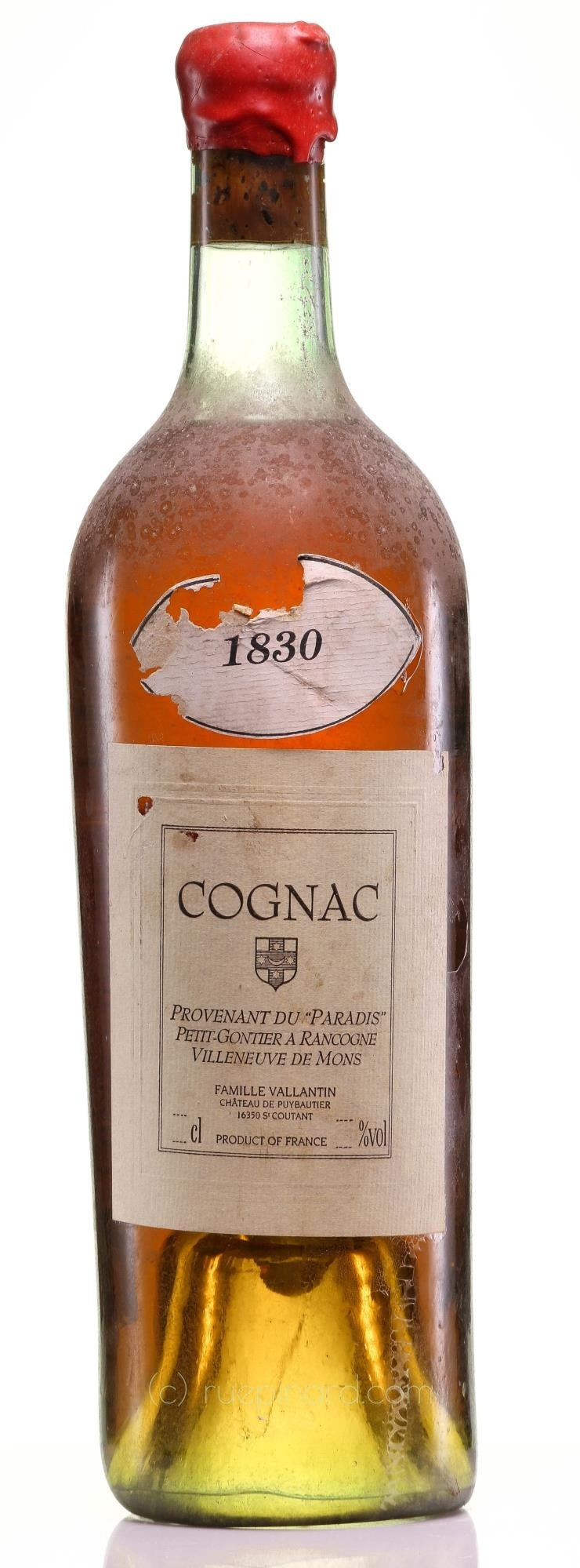 Château de Puybautier 1830 Cognac Petit-Gontier a Rancogne - Rue Pinard