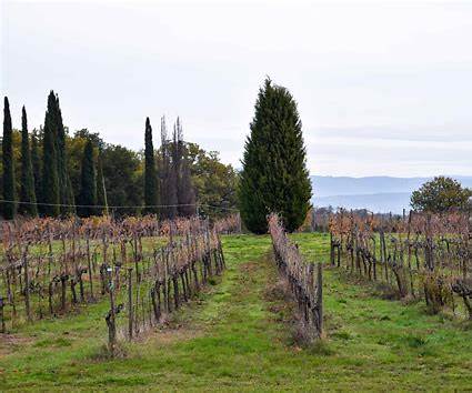 Avignonesi, Vino Nobile di Montepulciano 2021 (6 x 75cl)