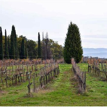 Avignonesi, Vino Nobile di Montepulciano 2021 (6 x 75cl)