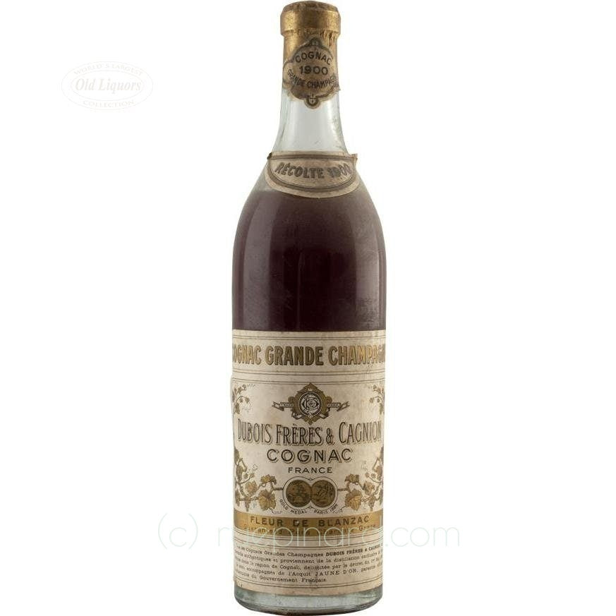 Cognac 1900 Dubois res Cagnion SKU 4213